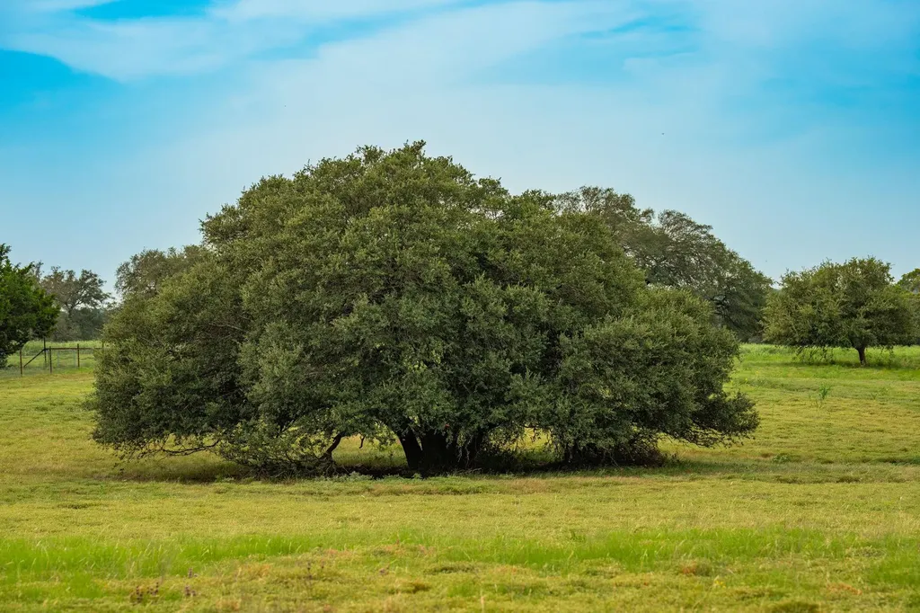 00 County Road 284 Liberty Hill TX 78642