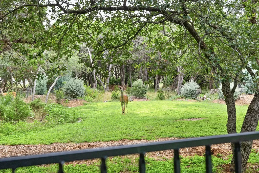 1403 Camelback Leander TX 78641