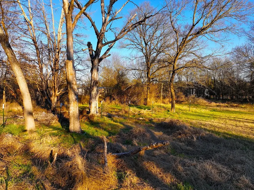 Tbd County Road 3114 Purdon TX 76679