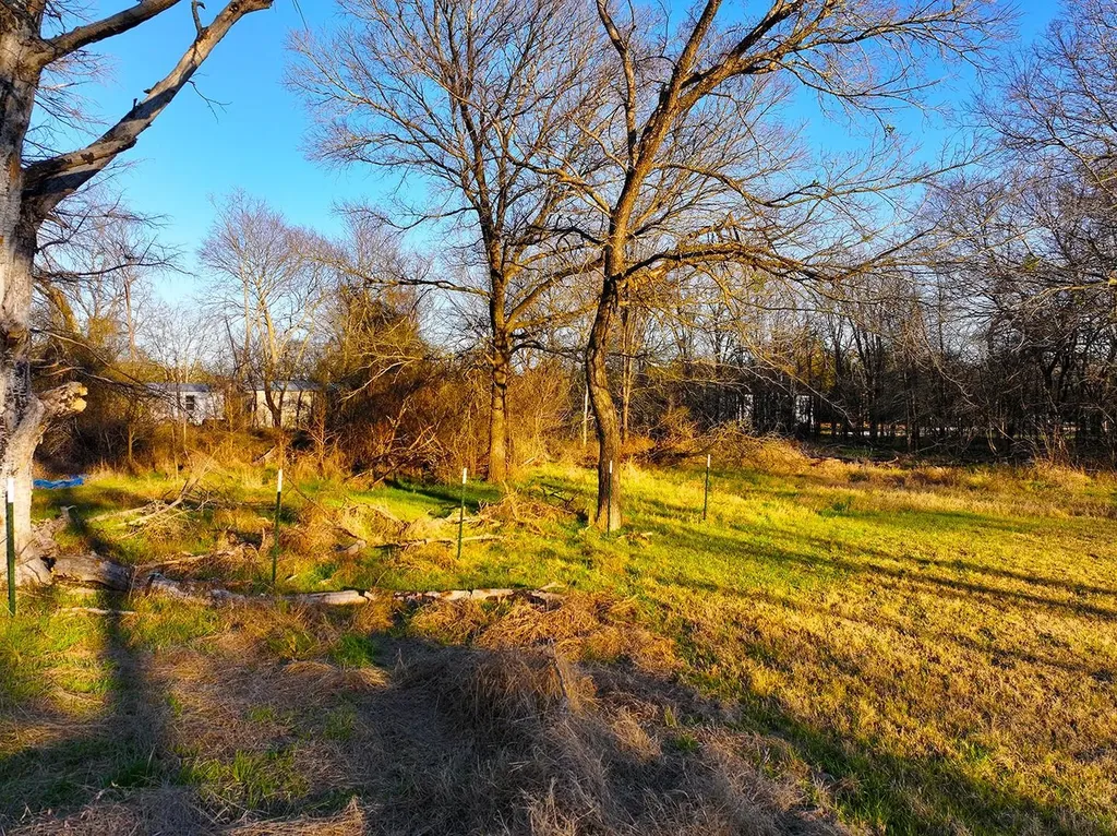Tbd County Road 3114 Purdon TX 76679
