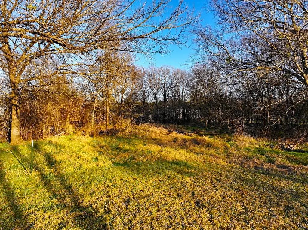Tbd County Road 3114 Purdon TX 76679
