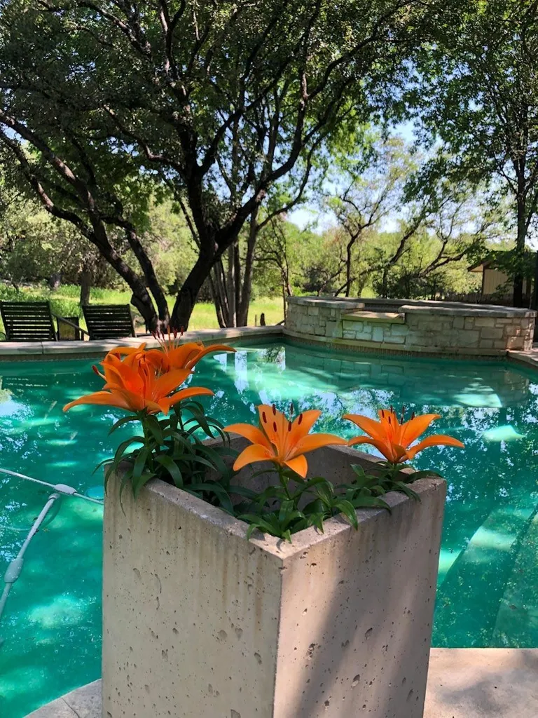 730 Shade Tree Drive Austin TX 78748