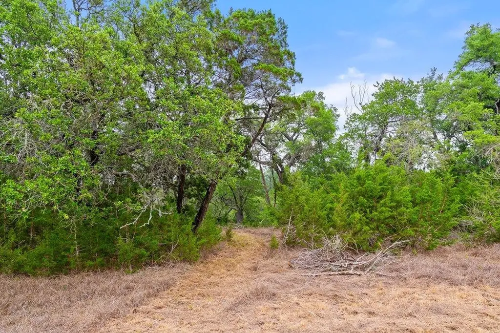 1850 Pursley Road Dripping Springs TX 78620