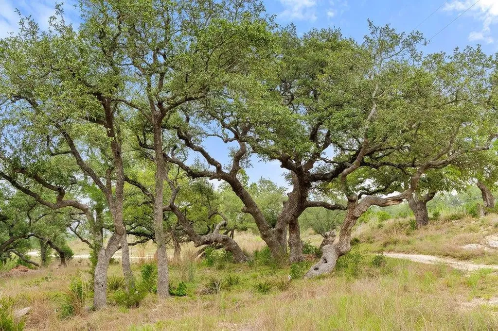 1850 Pursley Road Dripping Springs TX 78620