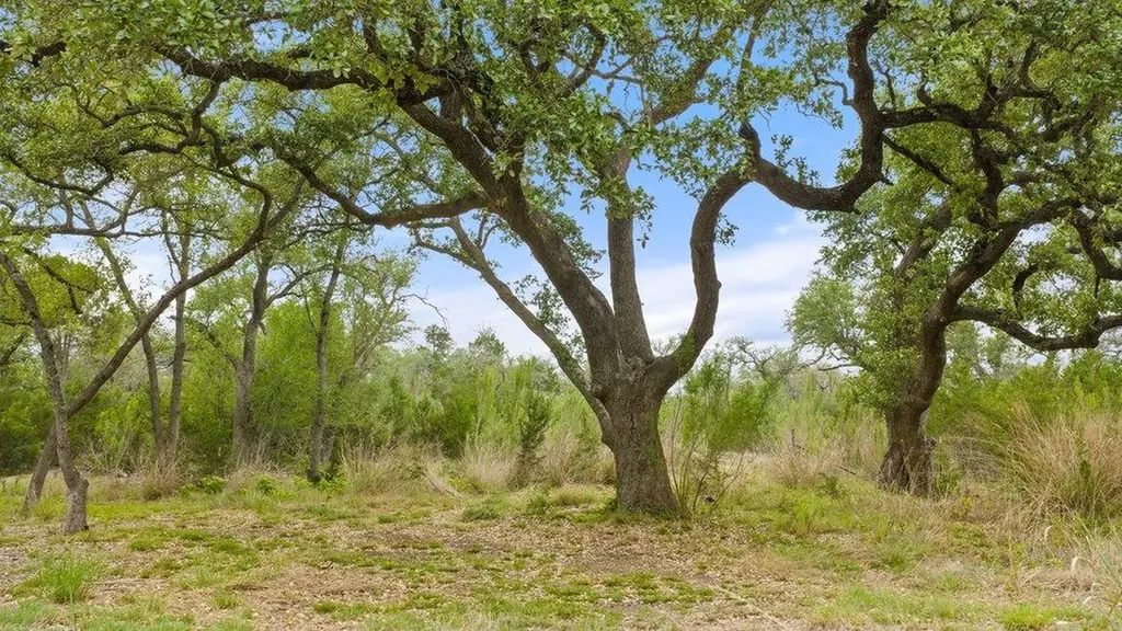 1850 Pursley Road Dripping Springs TX 78620