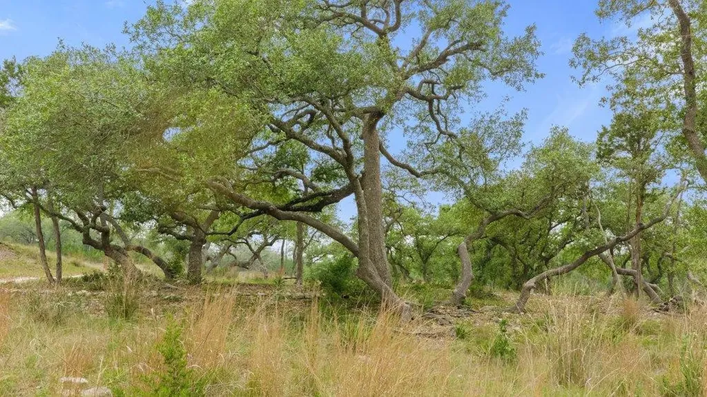 1850 Pursley Road Dripping Springs TX 78620