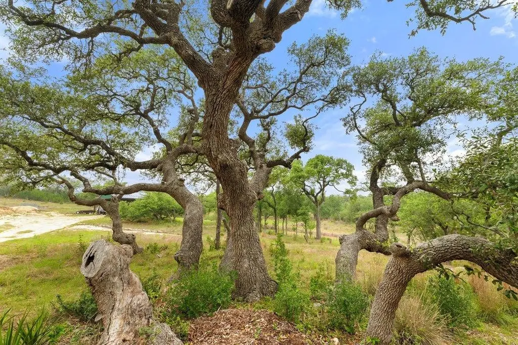 1850 Pursley Road Dripping Springs TX 78620