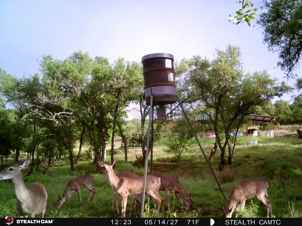 1850 Pursley Road Dripping Springs TX 78620