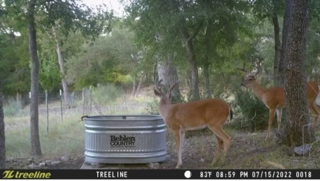 1850 Pursley Road Dripping Springs TX 78620