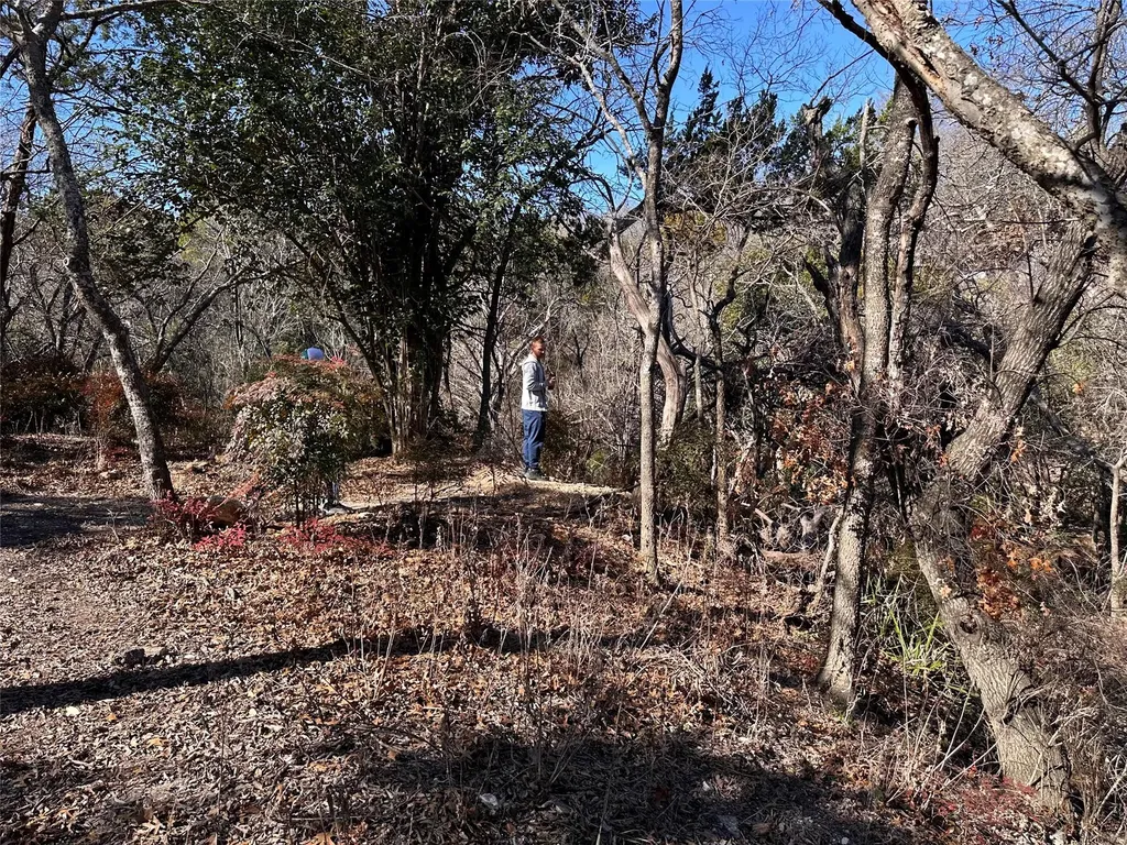 Tbd Cedar Valley Cove Austin TX 78753