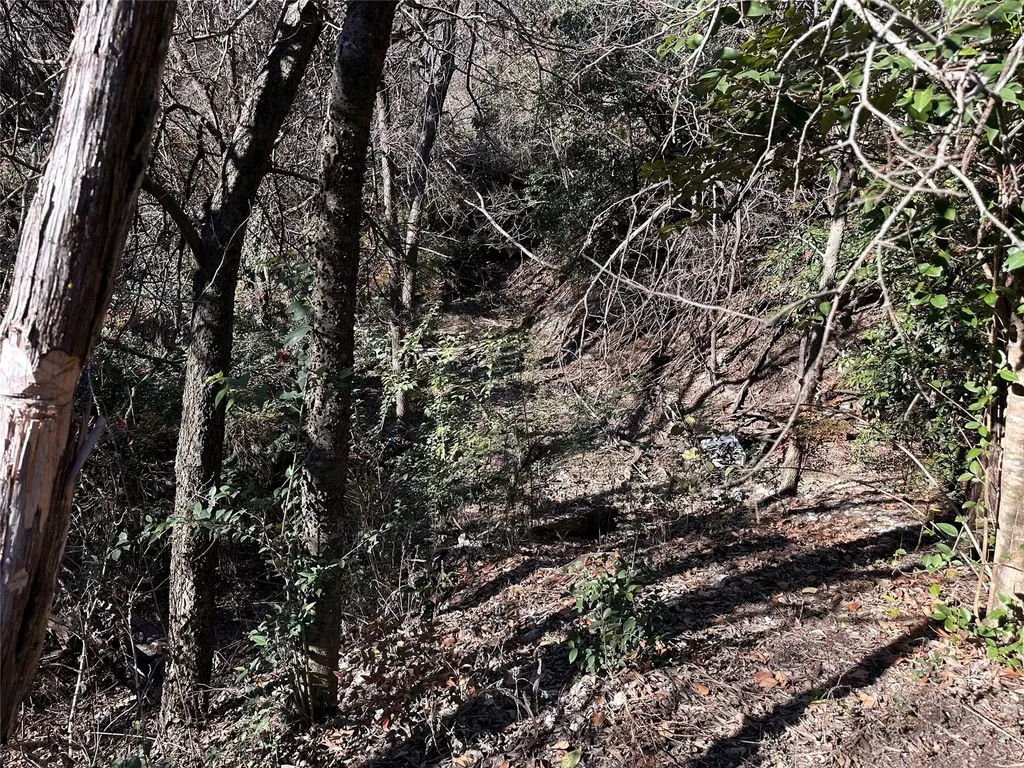 Tbd Cedar Valley Cove Austin TX 78753