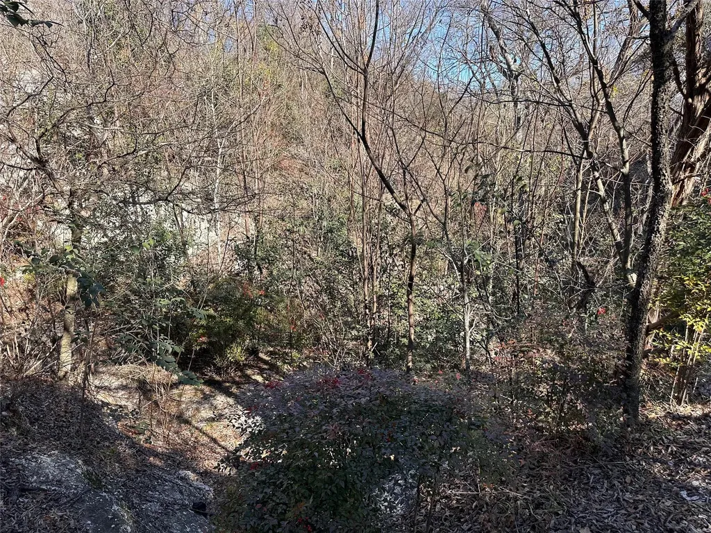 Tbd Cedar Valley Cove Austin TX 78753