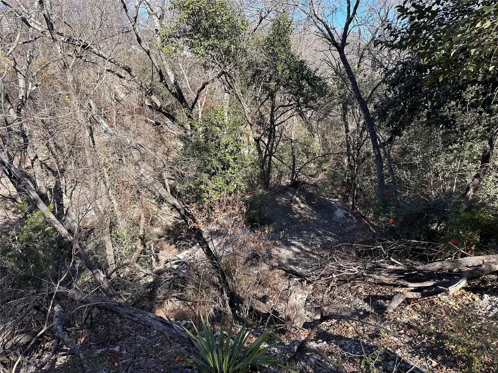 Tbd Cedar Valley Cove Austin TX 78753