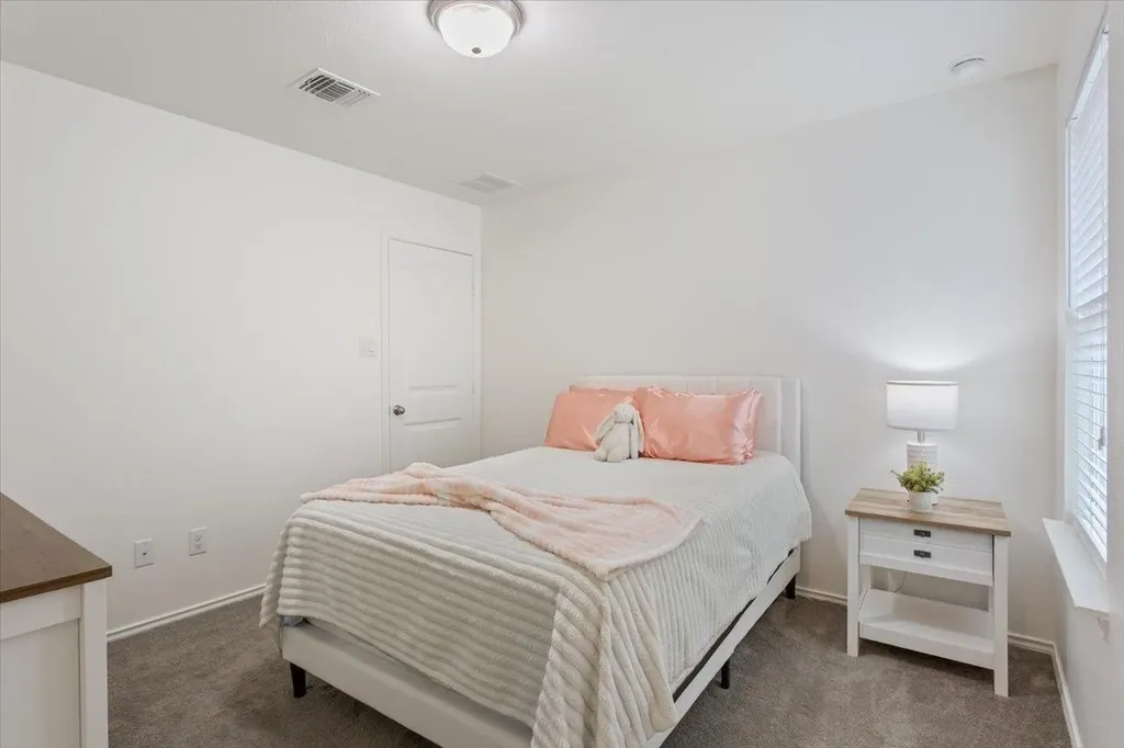 1015 Grande Mesa Drive Georgetown TX 78626