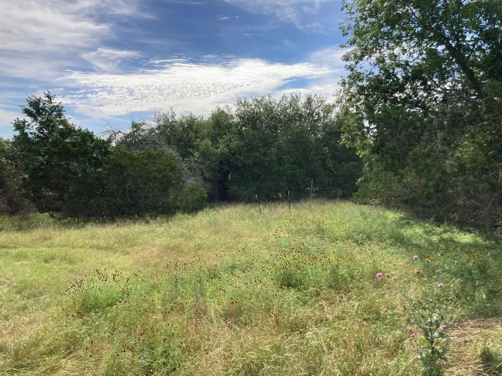 1050 Harmon Hills Road Dripping Springs TX 78620