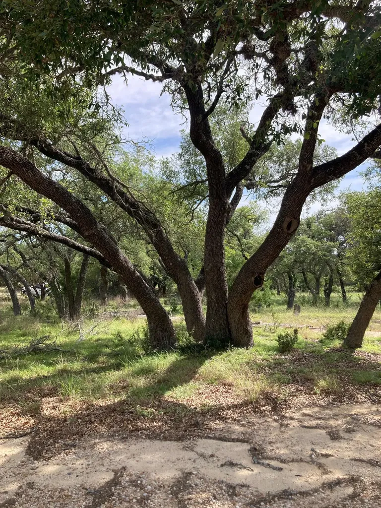 1050 Harmon Hills Road Dripping Springs TX 78620