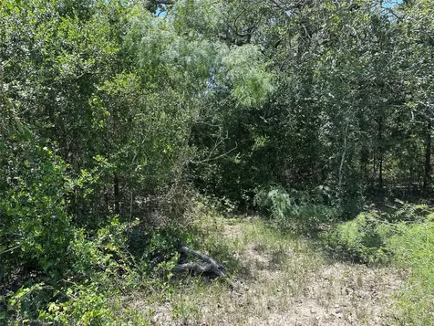 Tract 3d Hwy 95 Highway Smithville TX 78957