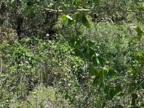 Tract 3d Hwy 95 Highway Smithville TX 78957