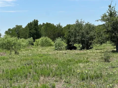 Tract 3d Hwy 95 Highway Smithville TX 78957