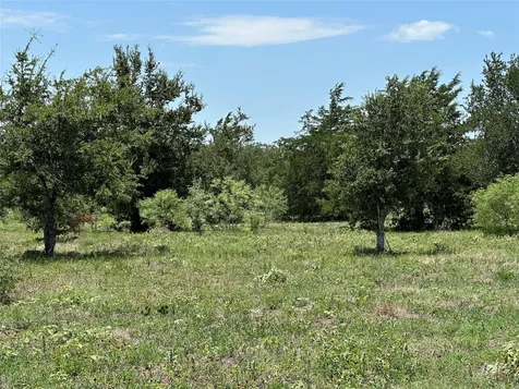 Tract 3d Hwy 95 Highway Smithville TX 78957