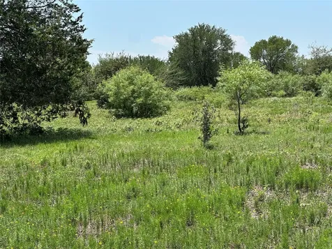 Tract 3d Hwy 95 Highway Smithville TX 78957