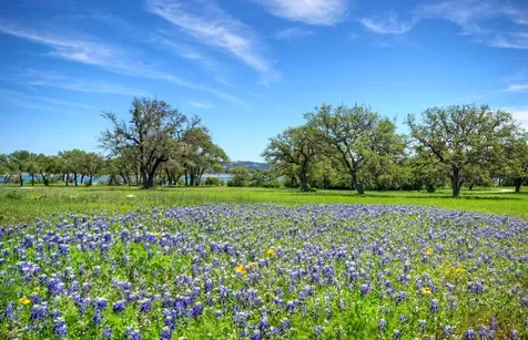 15205 Back Of The Moon Street Austin TX 78734