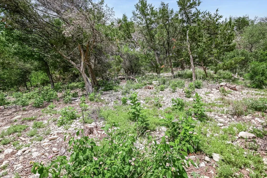 4028 Walnut Clay Drive Austin TX 78731