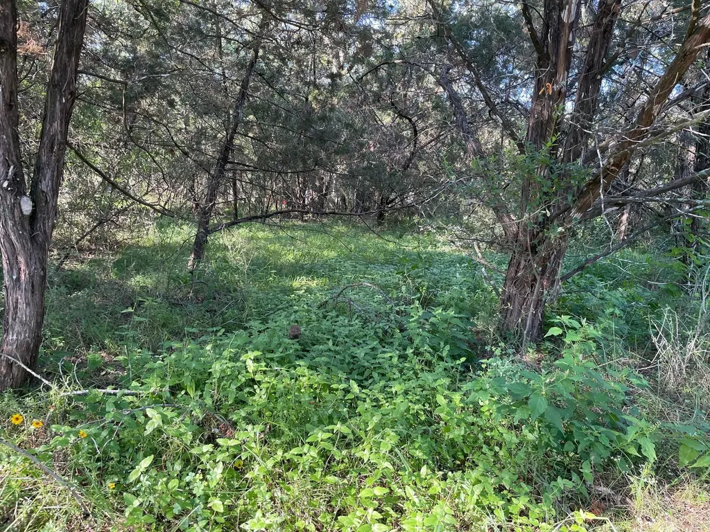 Lot 423 Indian Summer Spicewood TX 78669