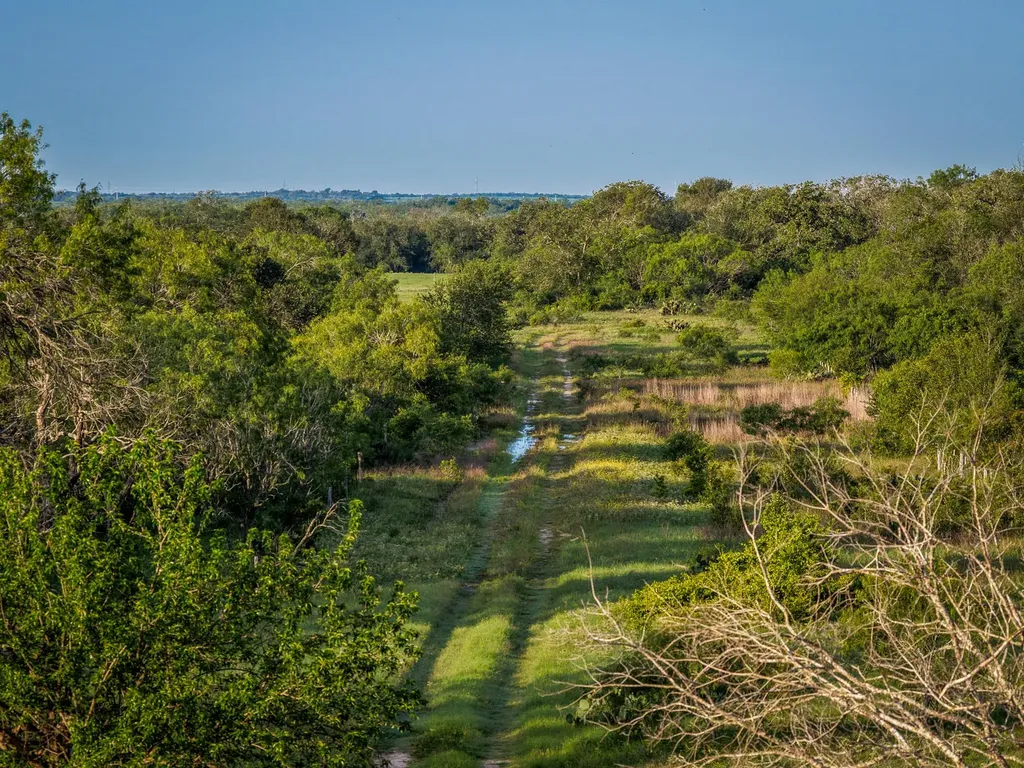 Cr 343 Cr 343 Gonzales TX 78629