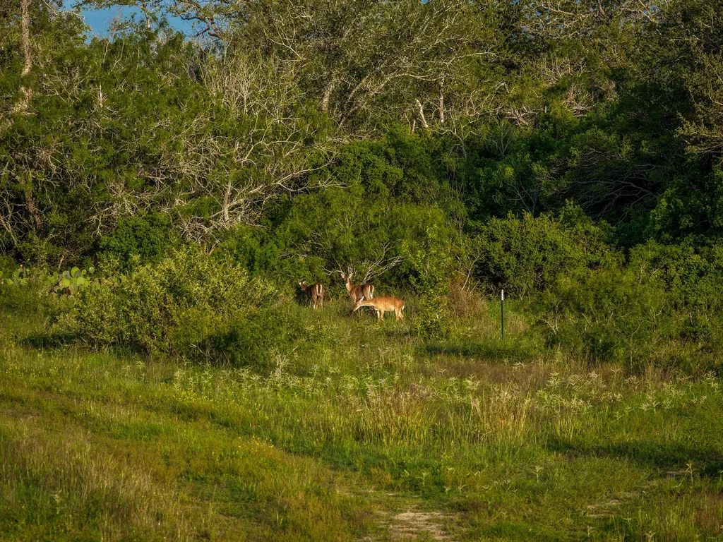 Cr 343 Cr 343 Gonzales TX 78629