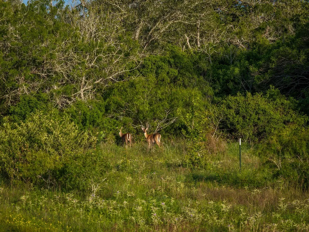 Cr 343 Cr 343 Gonzales TX 78629