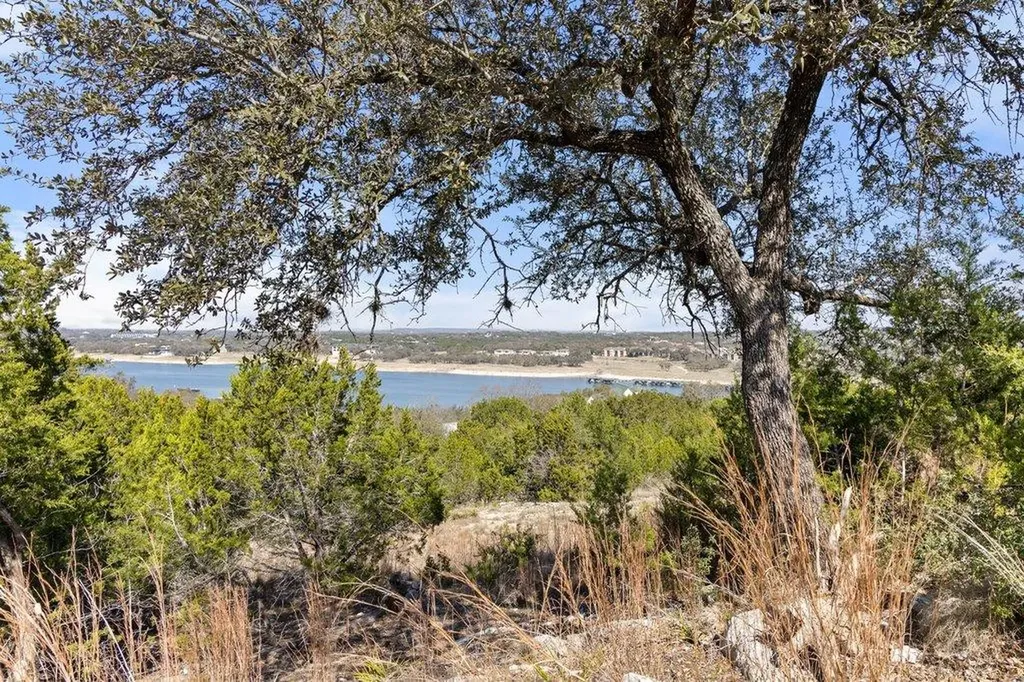 10 Thurman Bluff Drive Spicewood TX 78669