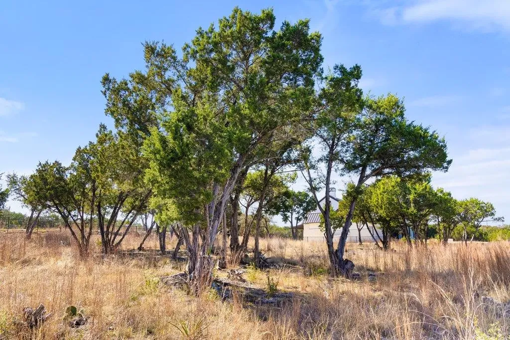 10 Thurman Bluff Drive Spicewood TX 78669