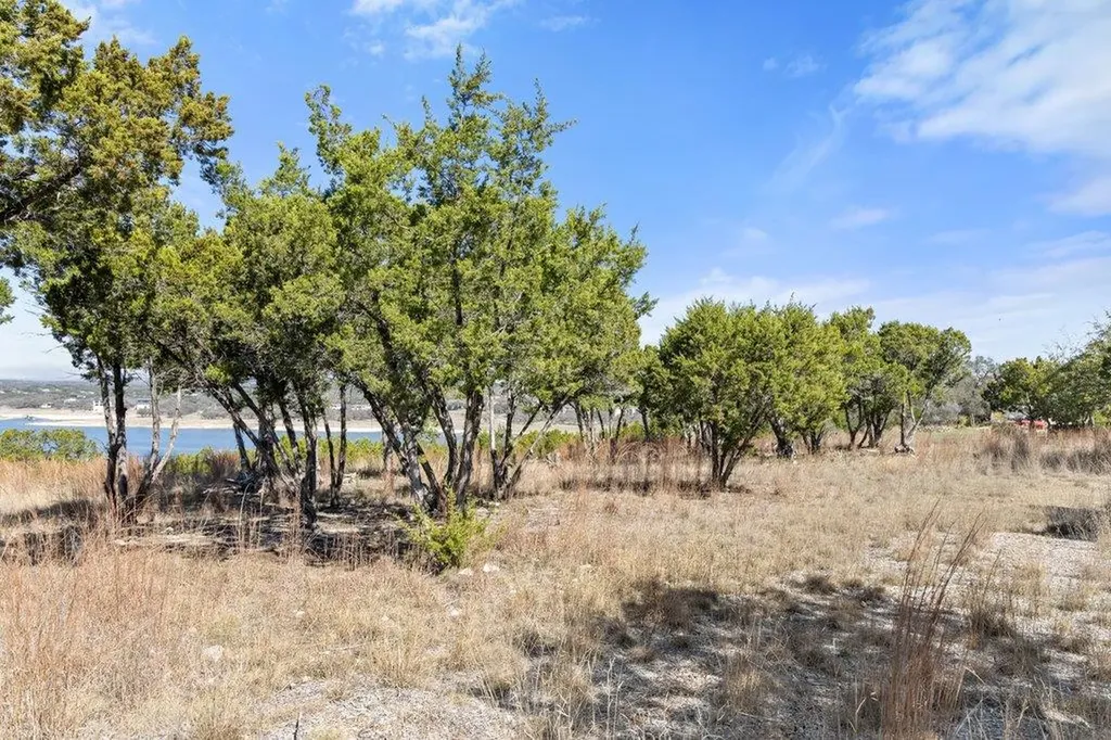 10 Thurman Bluff Drive Spicewood TX 78669