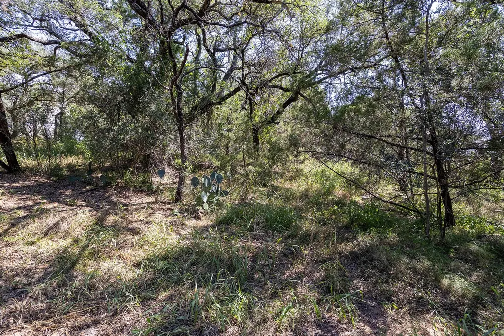 Tbd Laurel Lane Spicewood TX 78669