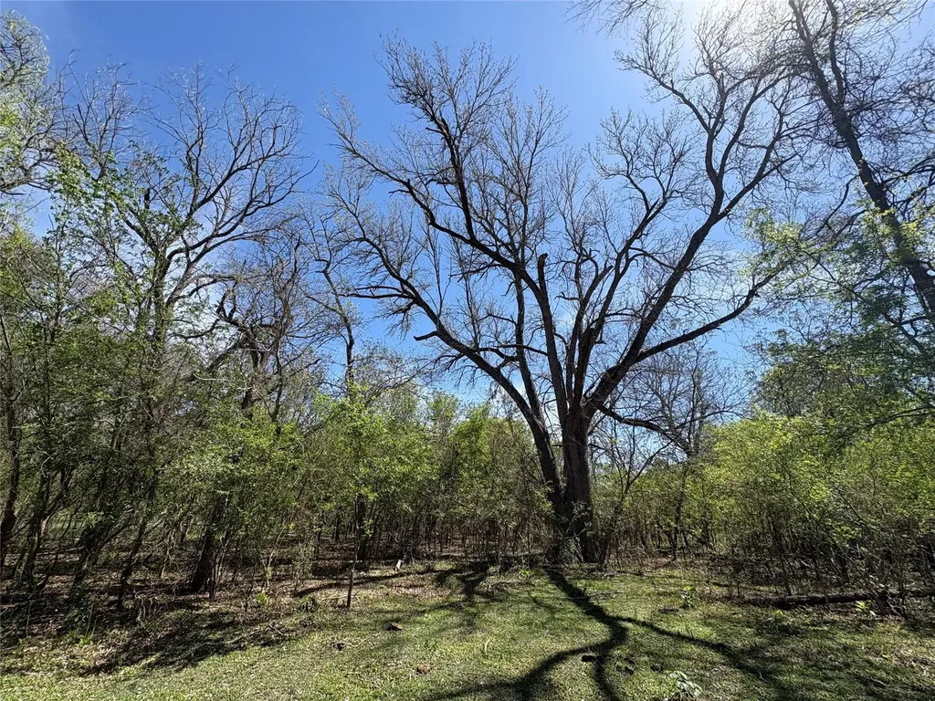 1285 Burdette Wells Road Lockhart TX 78644