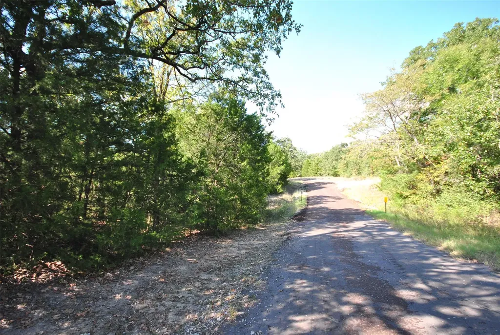 Lot 76 Lcr 894 Jewett TX 75846