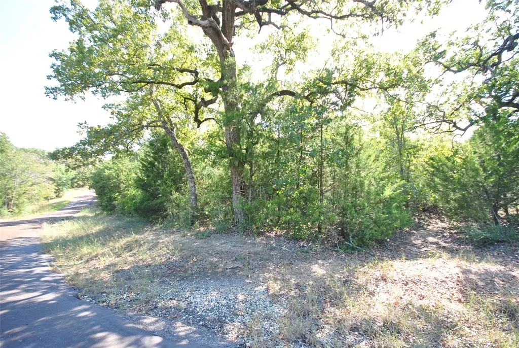 Lot 76 Lcr 894 Jewett TX 75846