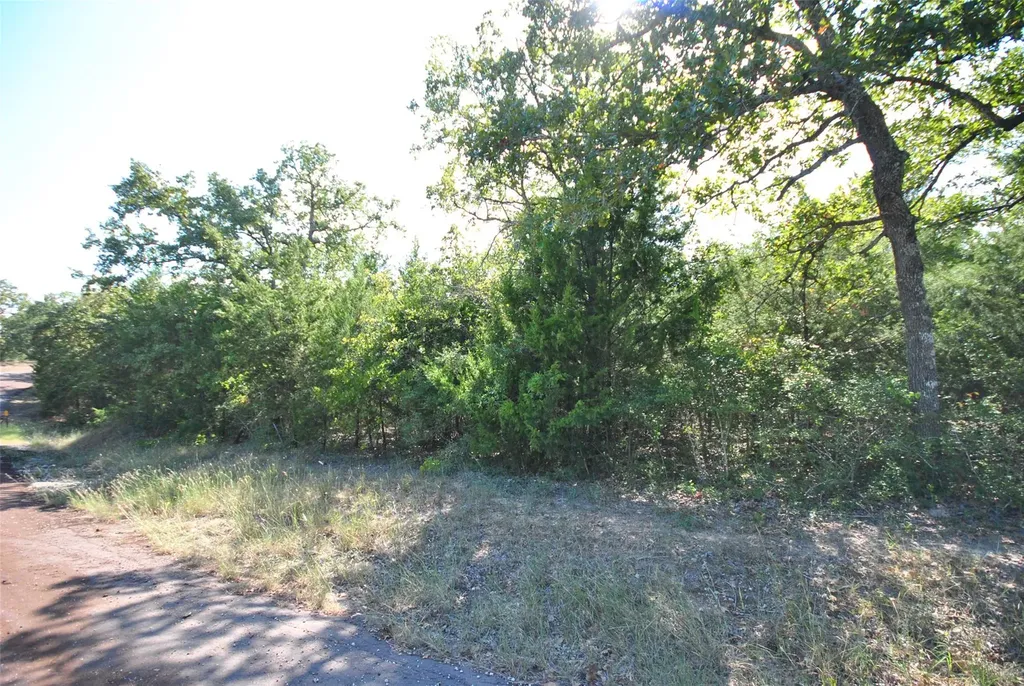 Lot 76 Lcr 894 Jewett TX 75846