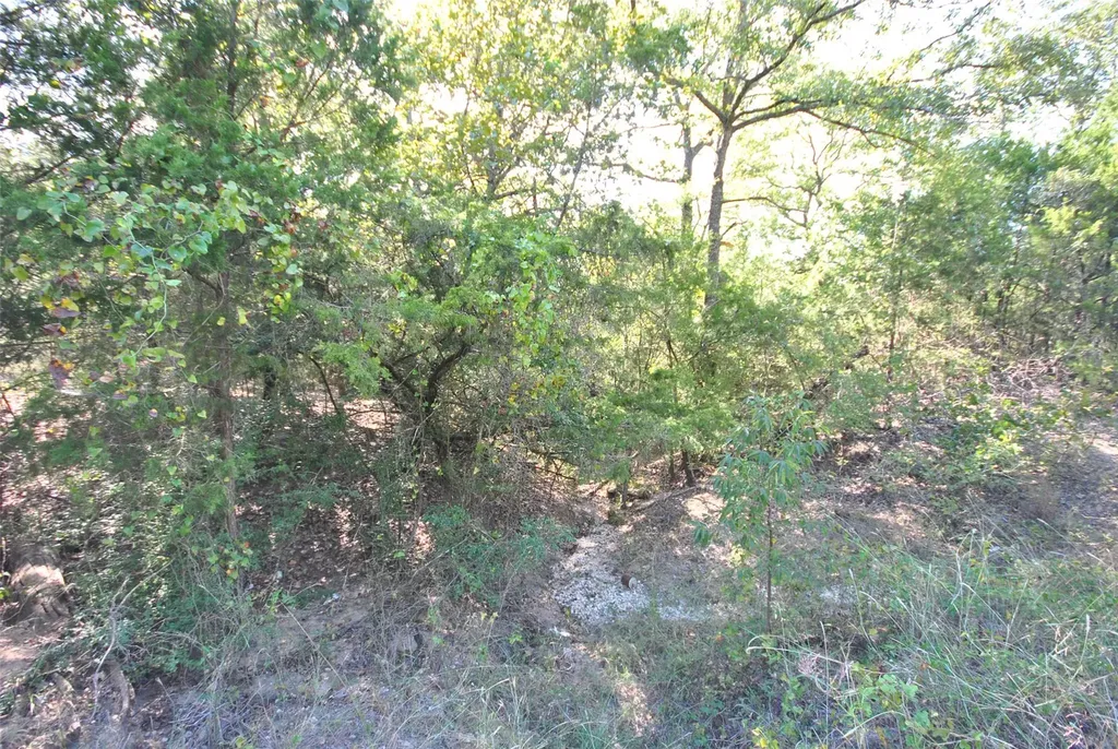 Lot 76 Lcr 894 Jewett TX 75846