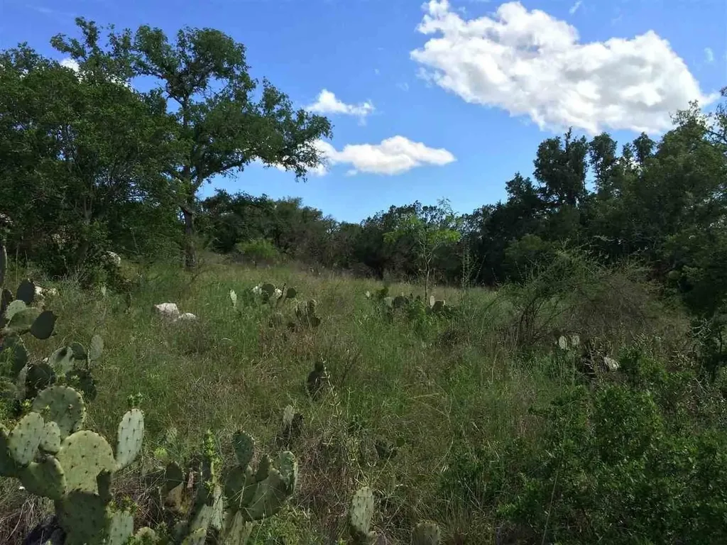 Lot 13042 Branding Iron Horseshoe Bay TX 78657