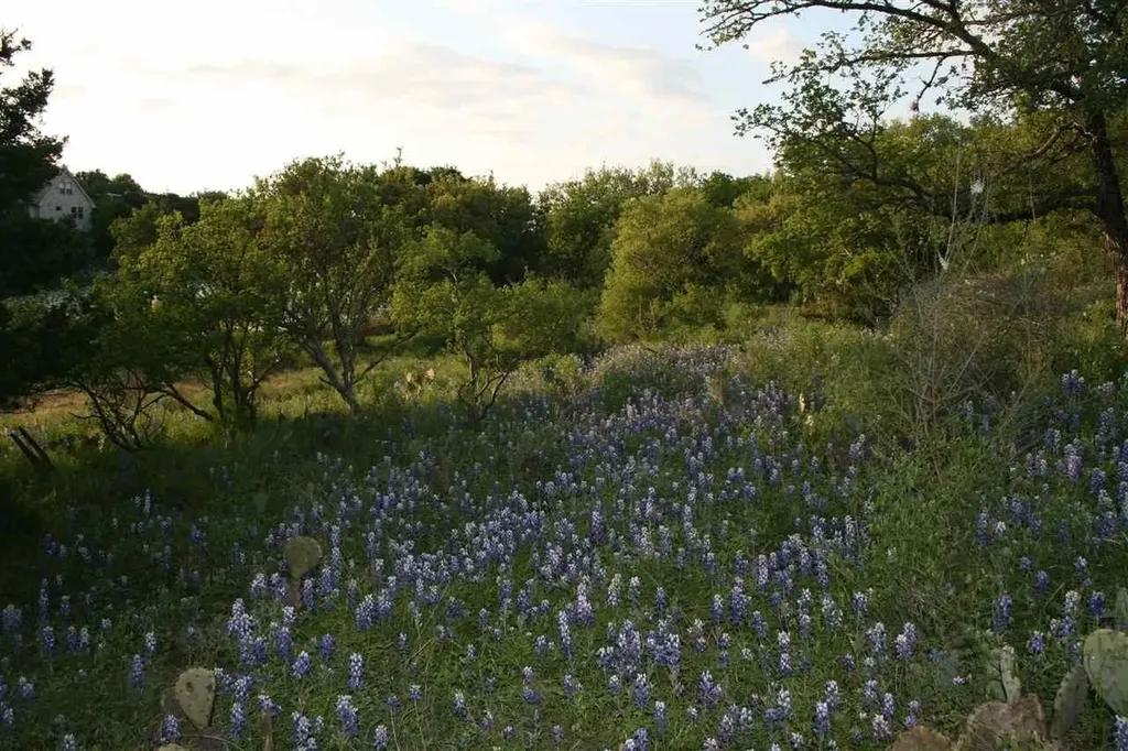 Lot 13042 Branding Iron Horseshoe Bay TX 78657
