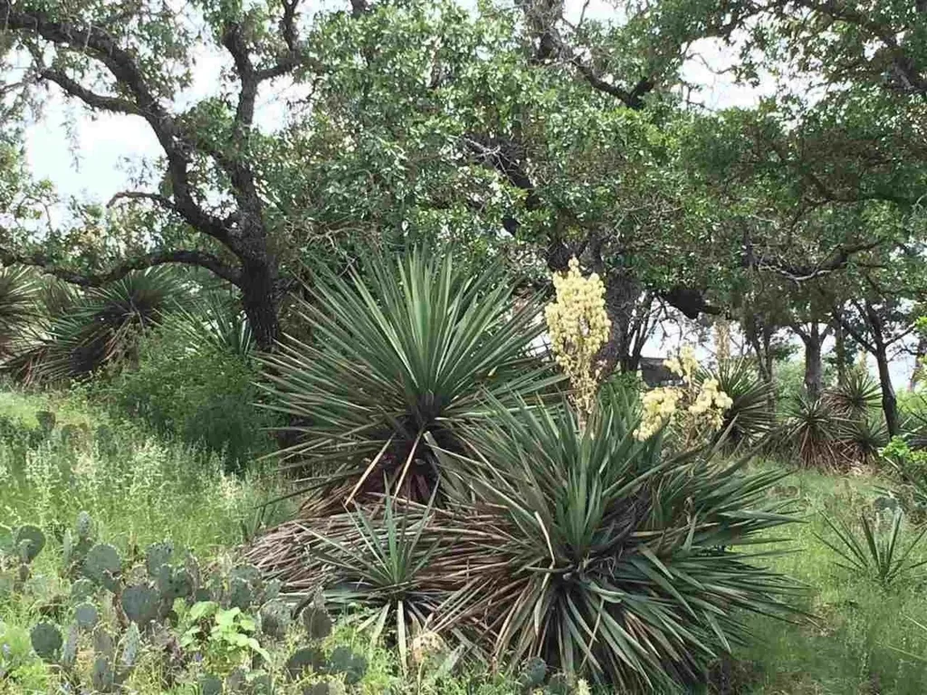 Lot 13042 Branding Iron Horseshoe Bay TX 78657