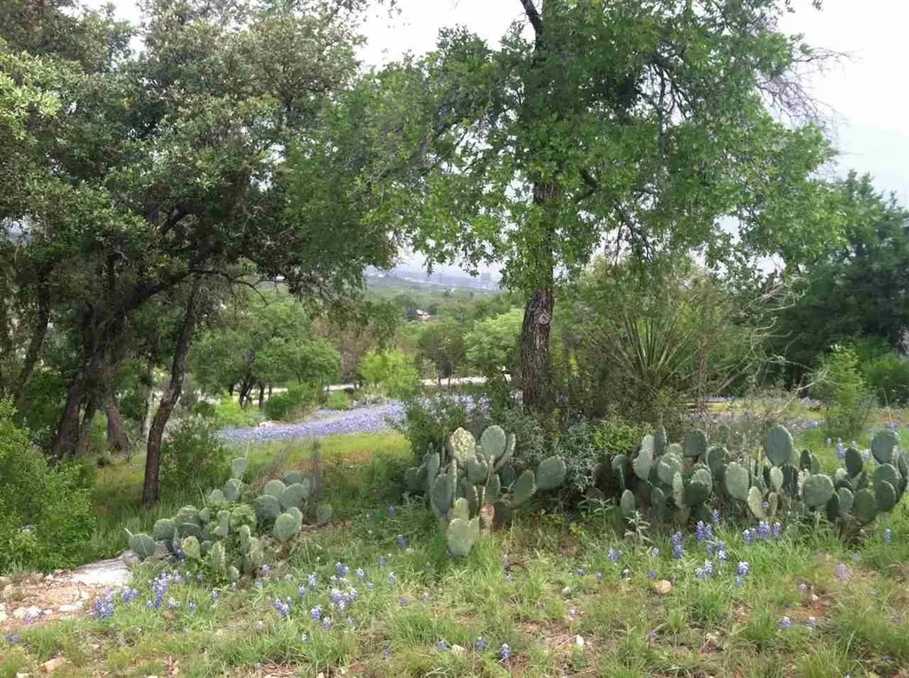 Lot 13042 Branding Iron Horseshoe Bay TX 78657