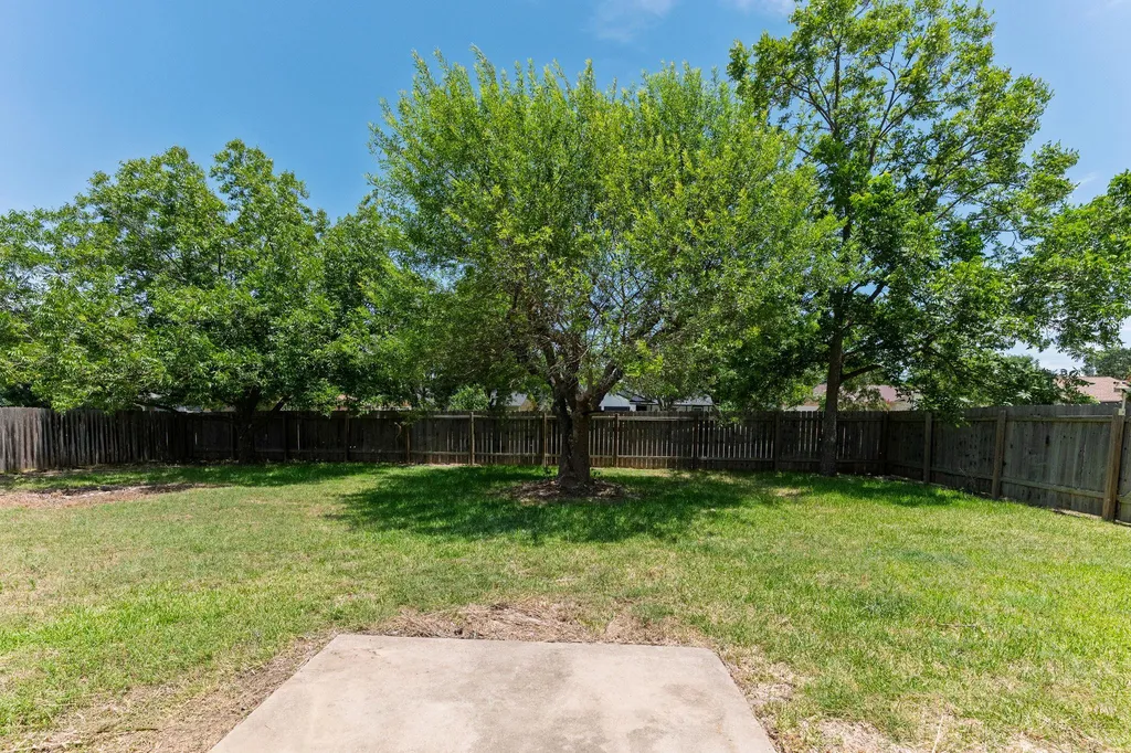 1506 Ashwood Court Round Rock TX 78664