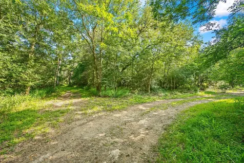 5523 Ehrman Lake Lane Wallis TX 77485
