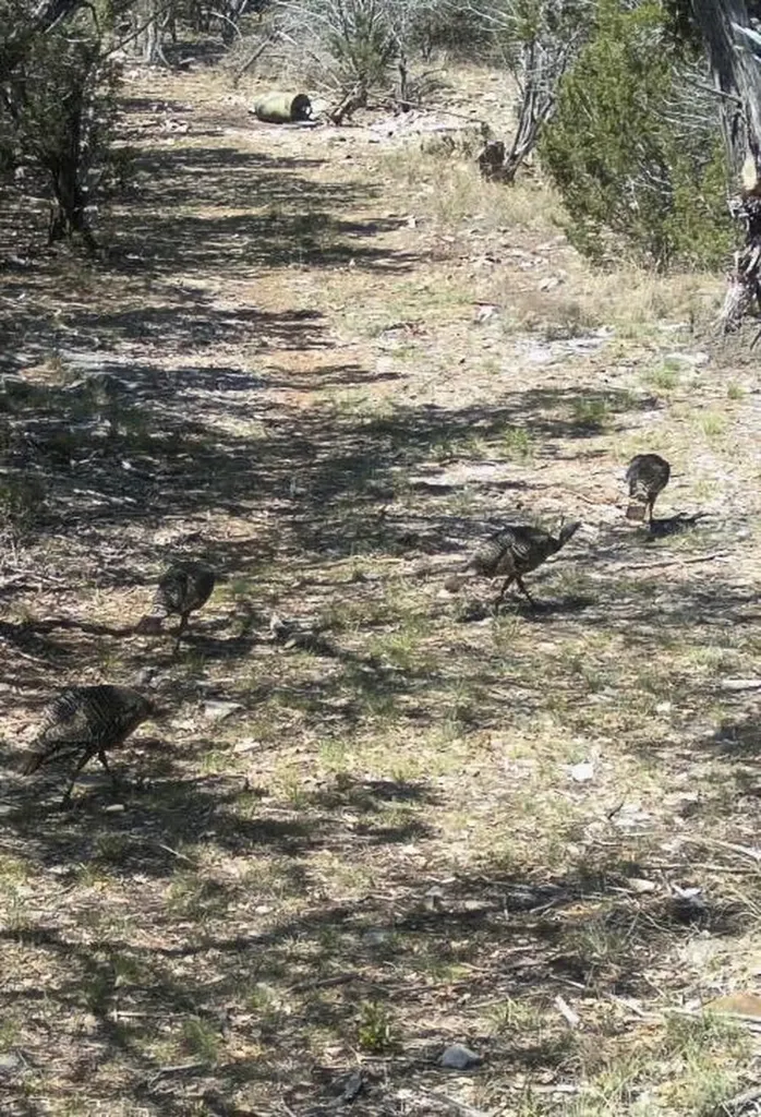 00 Park Road Lampasas TX 76550