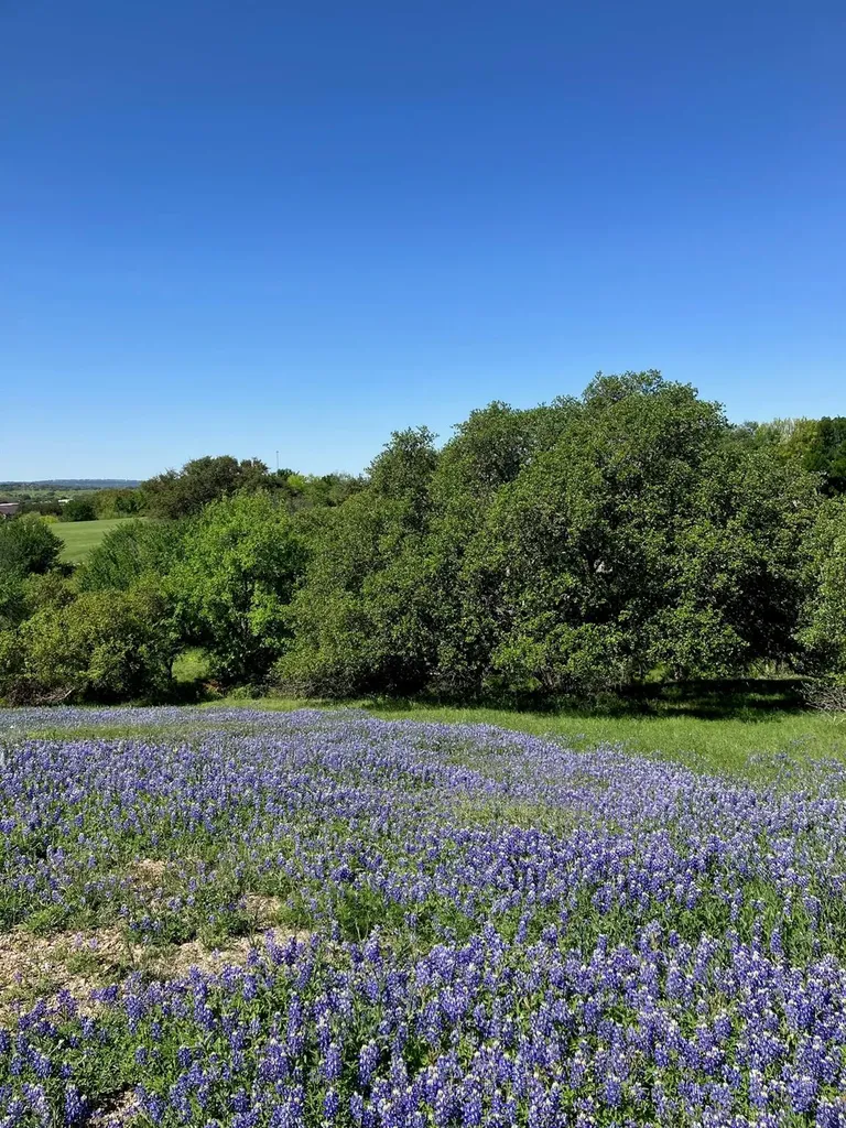 106 Ridgeway Horseshoe Bay TX 78657