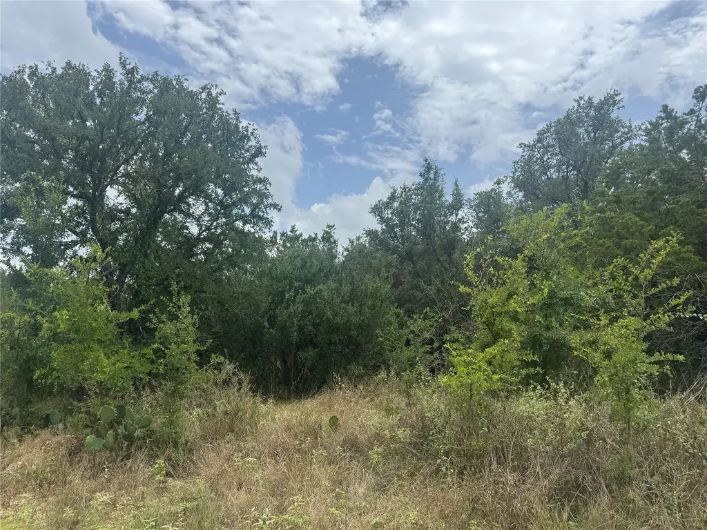 Tbd Fort Croghan Lane Burnet TX 78611