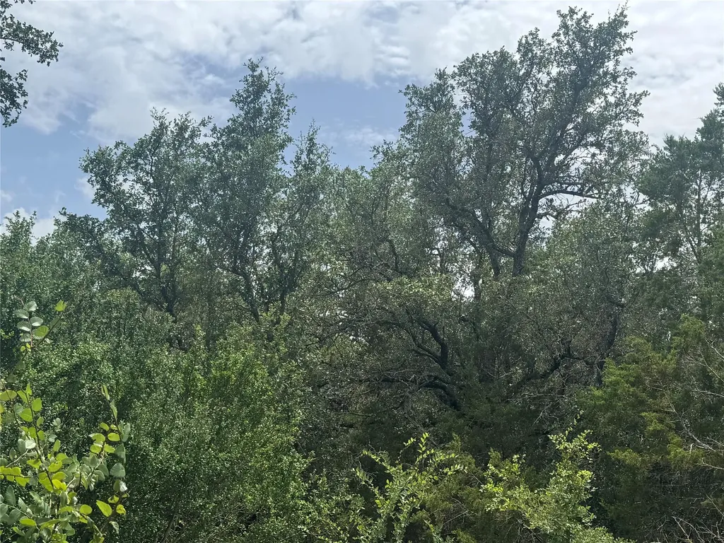 Tbd Fort Croghan Lane Burnet TX 78611